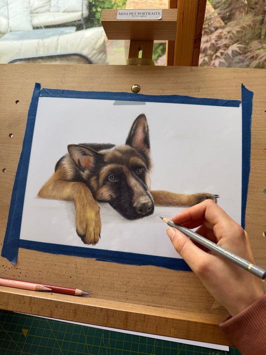 Custom Coloured Pet Portrait | Hand-Drawn Pencil Drawing - 🤎Orders will reopen in November 2026🤎Sign up to the waitlist to get notified when orders reopen!