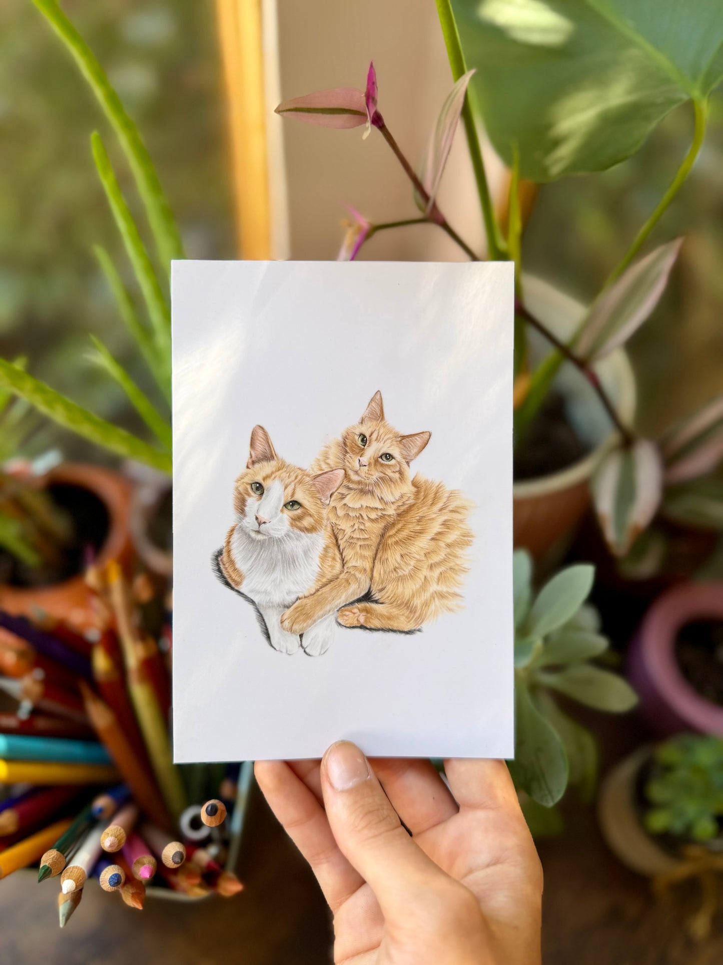 Mini Pet Portraits - Available via a waitlist, join on the homepage! Next opening is in September!