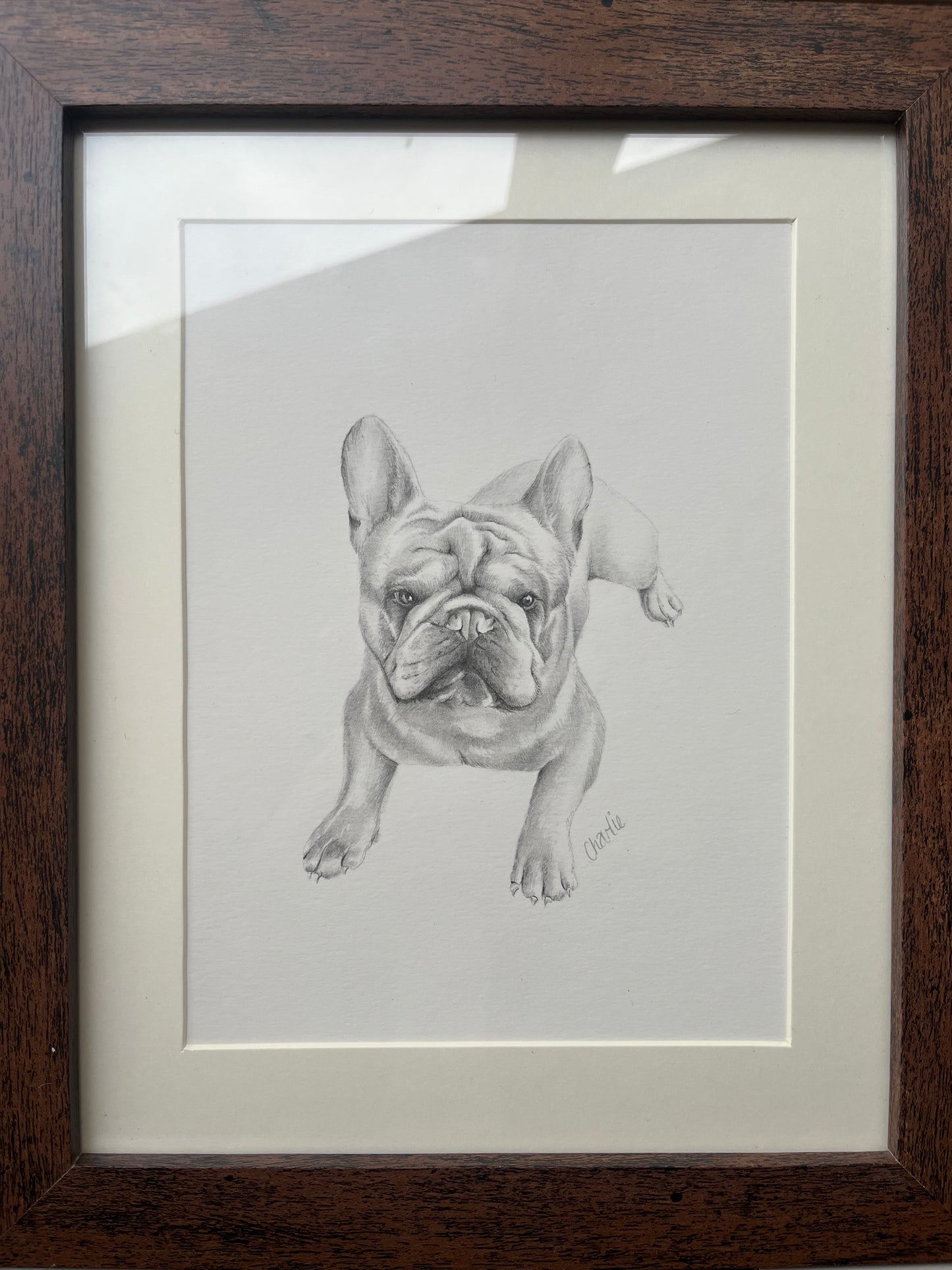 Custom Graphite Pet Portrait | Hand-Drawn Pencil Drawing