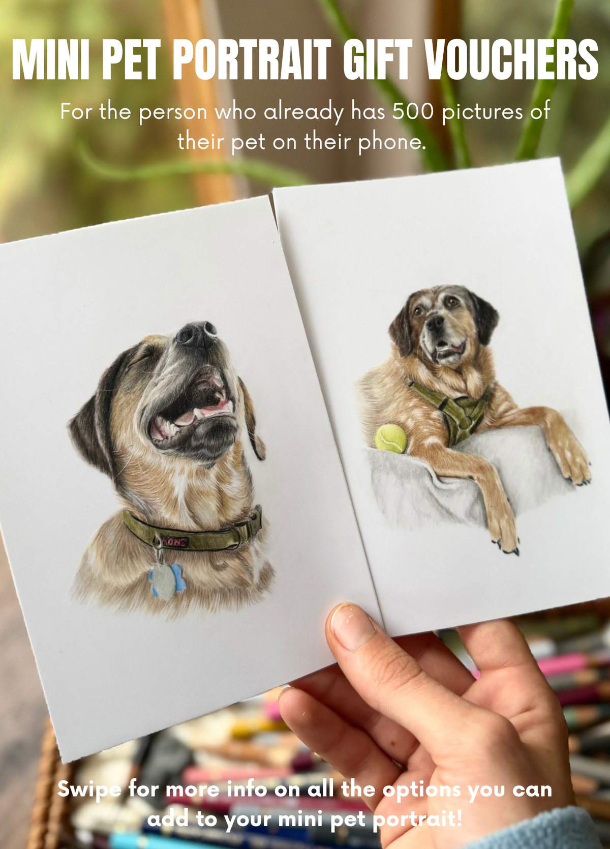 Mini Pet Portrait Christmas Gift Vouchers