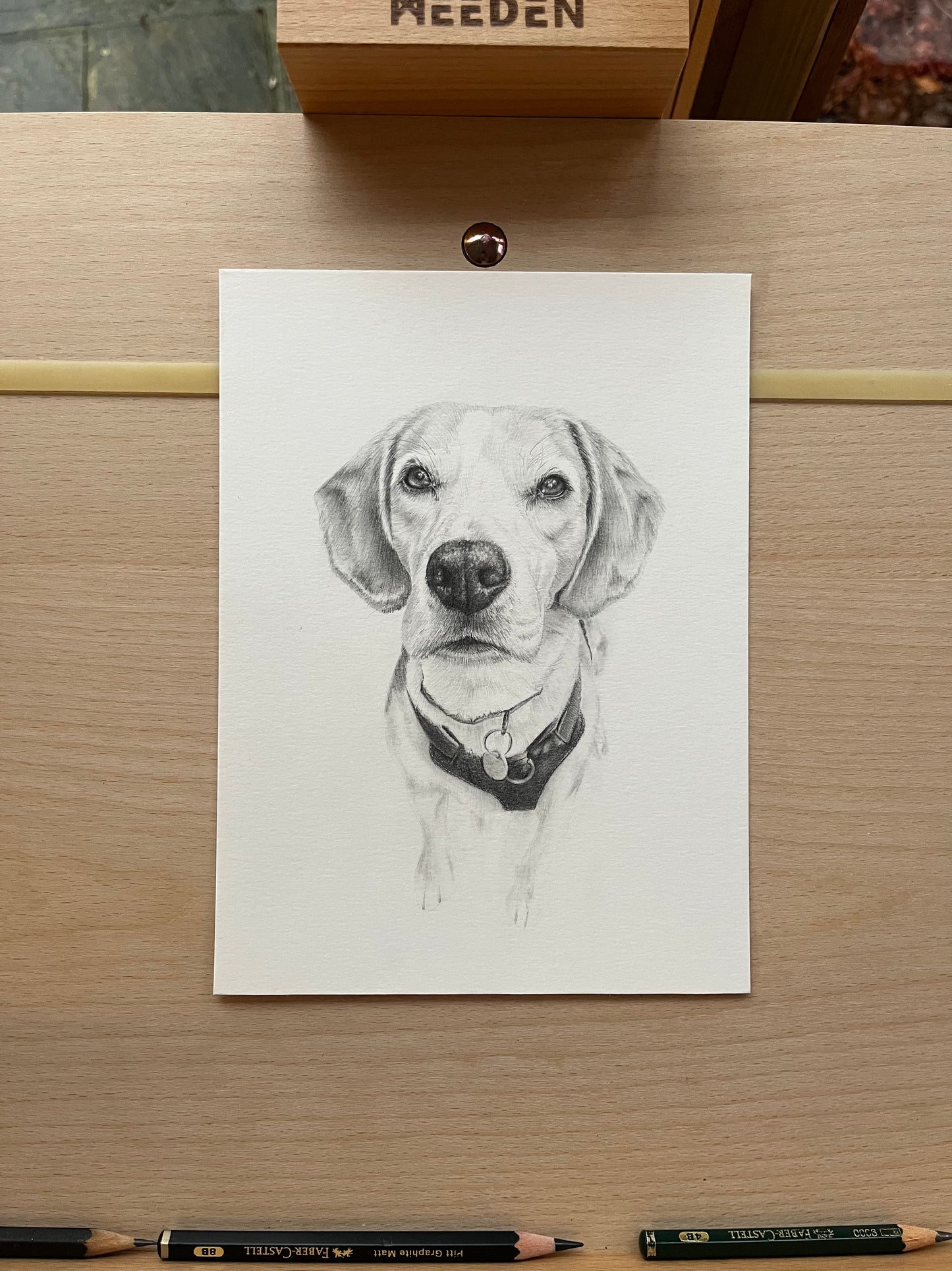 Custom Graphite Pet Portrait | Hand-Drawn Pencil Drawing