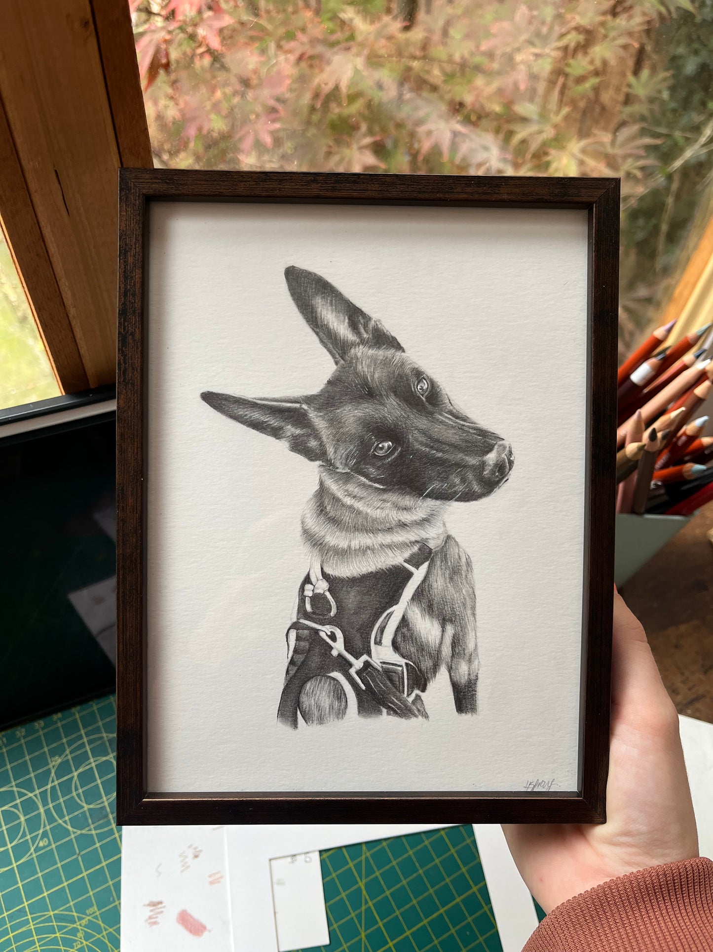 Custom Graphite Pet Portrait | Hand-Drawn Pencil Drawing