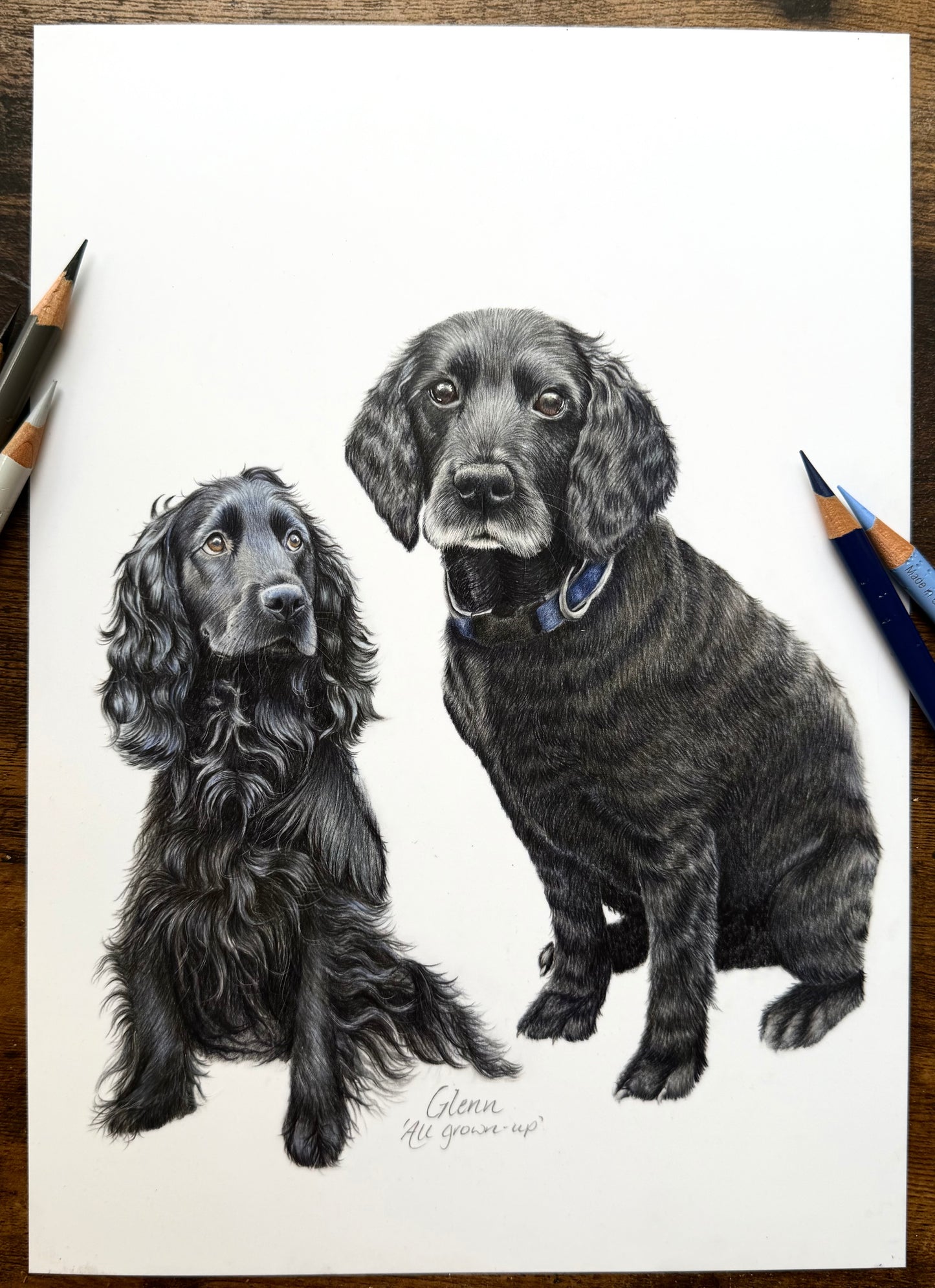 Custom Coloured Pet Portrait | Hand-Drawn Pencil Drawing - 🤎Orders will reopen in November 2026🤎Sign up to the waitlist to get notified when orders reopen!