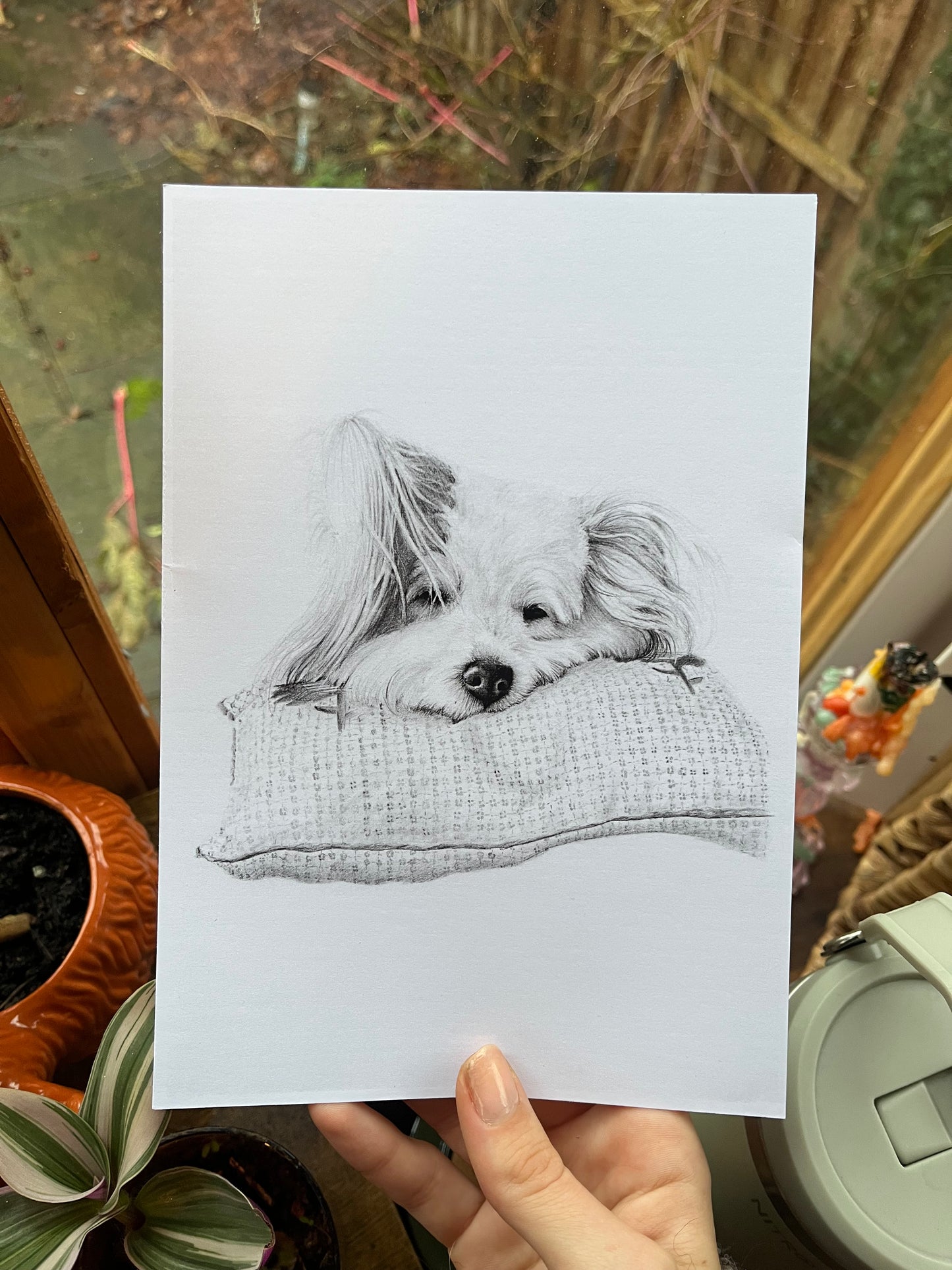 Custom Graphite Pet Portrait | Hand-Drawn Pencil Drawing