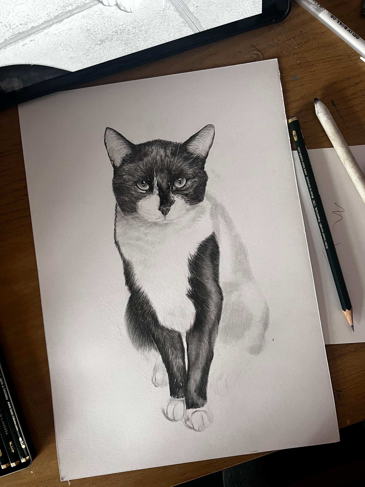 Custom Graphite Pet Portrait | Hand-Drawn Pencil Drawing