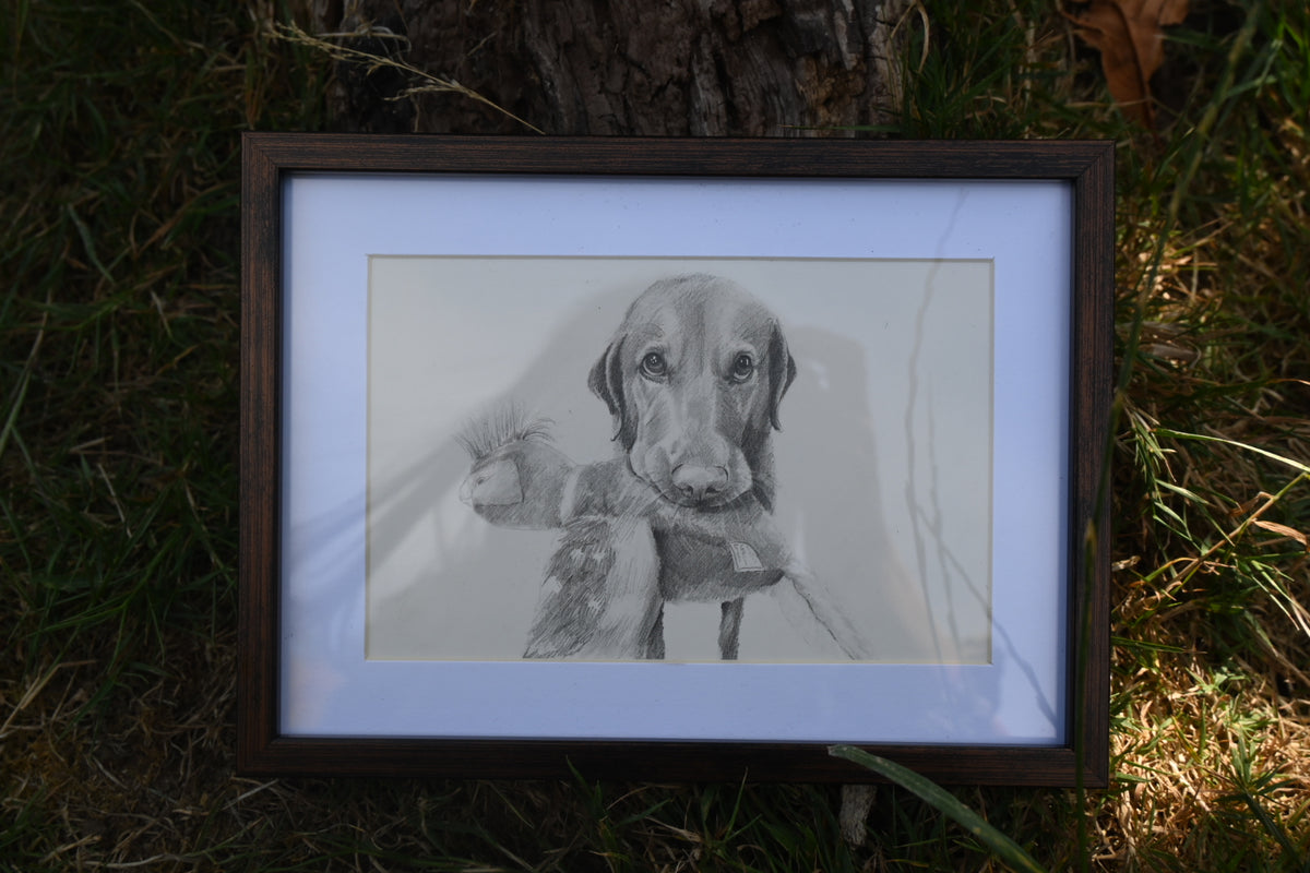 Custom Graphite Pet Portrait | Hand-Drawn Pencil Drawing