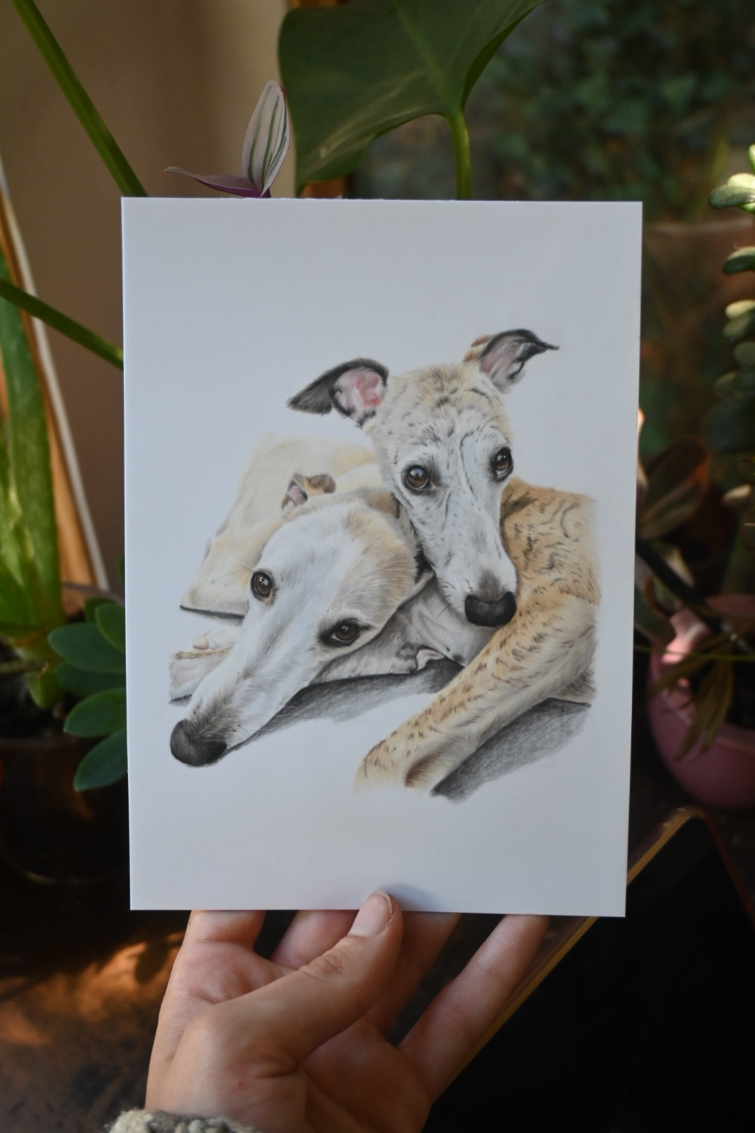 Custom Coloured Pet Portrait | Hand-Drawn Pencil Drawing - 🤎Orders will reopen in November 2026🤎Sign up to the waitlist to get notified when orders reopen!