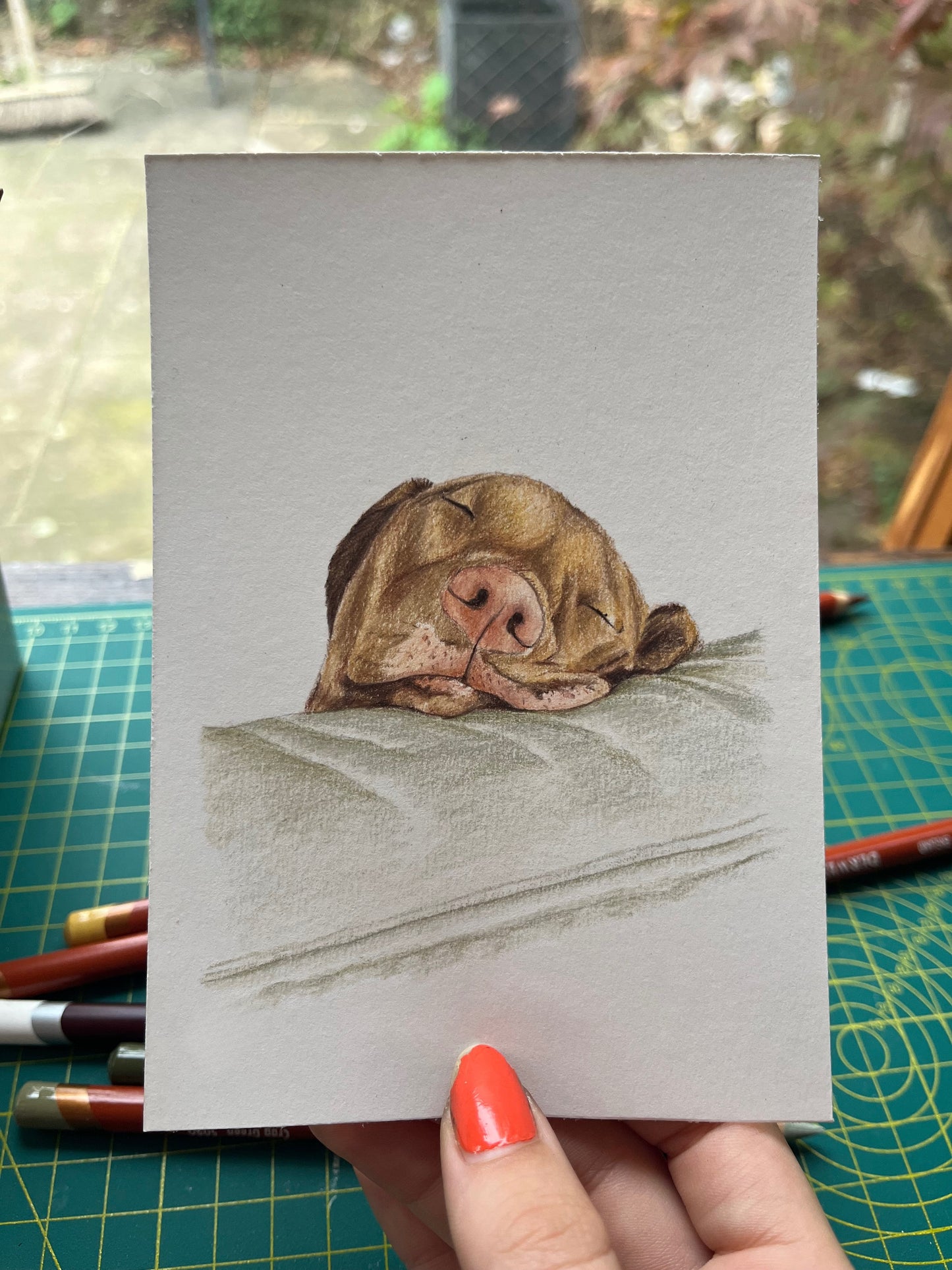 Sleepy dog art prints - mini pet portrait print