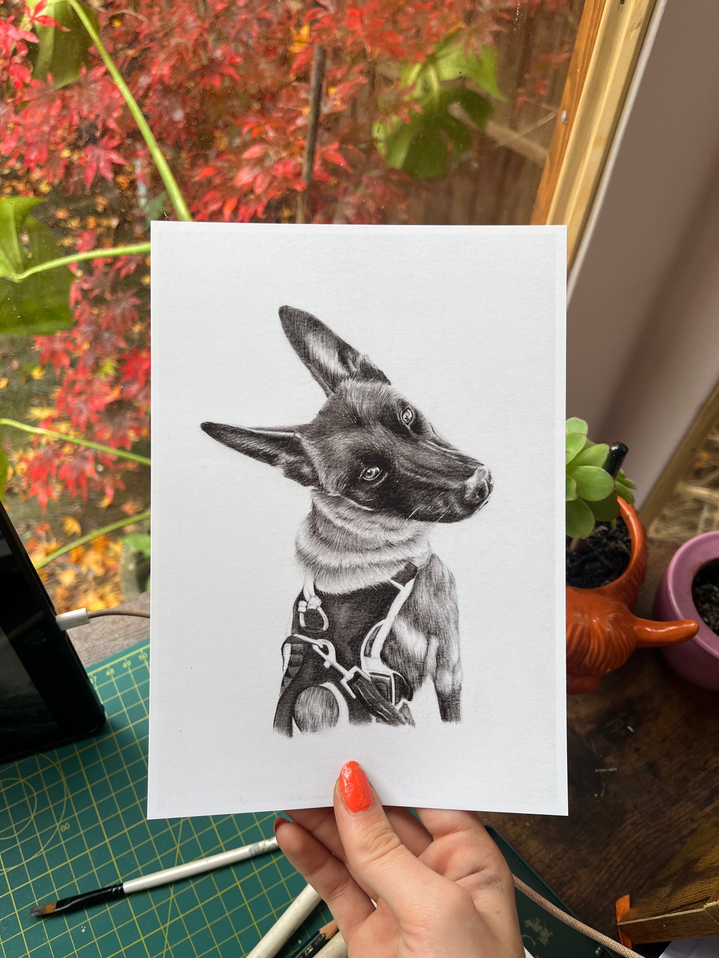Custom Graphite Pet Portrait | Hand-Drawn Pencil Drawing