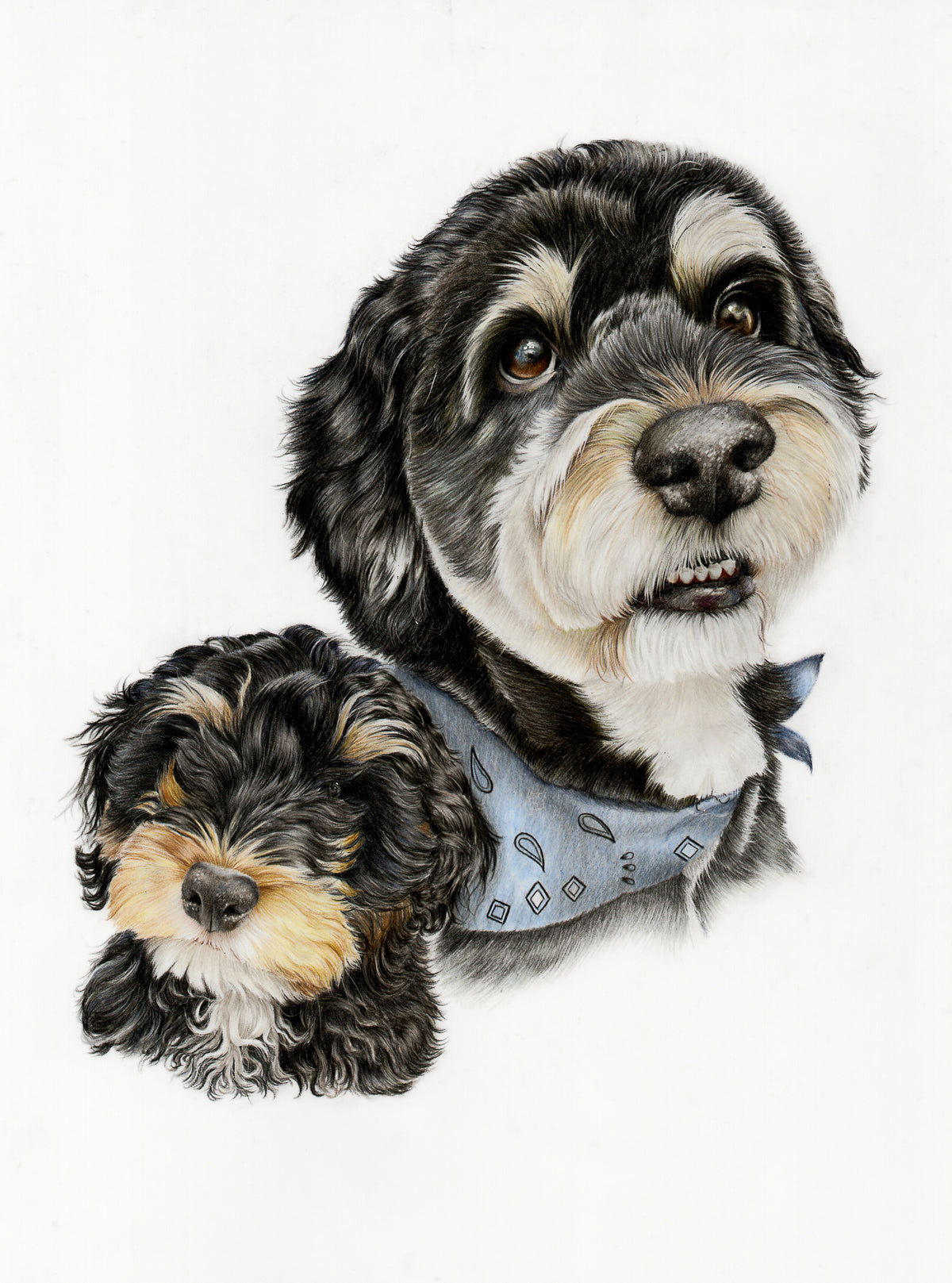 'All Grown-up' Celebrate your pets life in pencil - 🤎Orders will reopen in November 2026🤎Sign up to the waitlist to get notified when orders reopen!