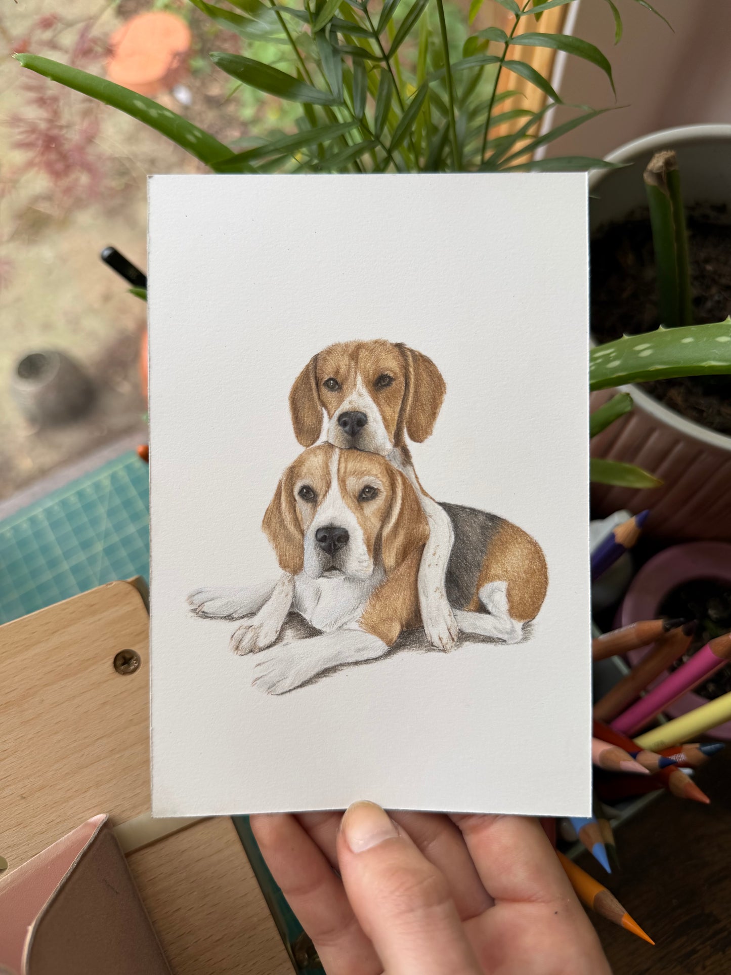 Mini Pet Portraits - available through the waitlist! Join via the homepage 🩷