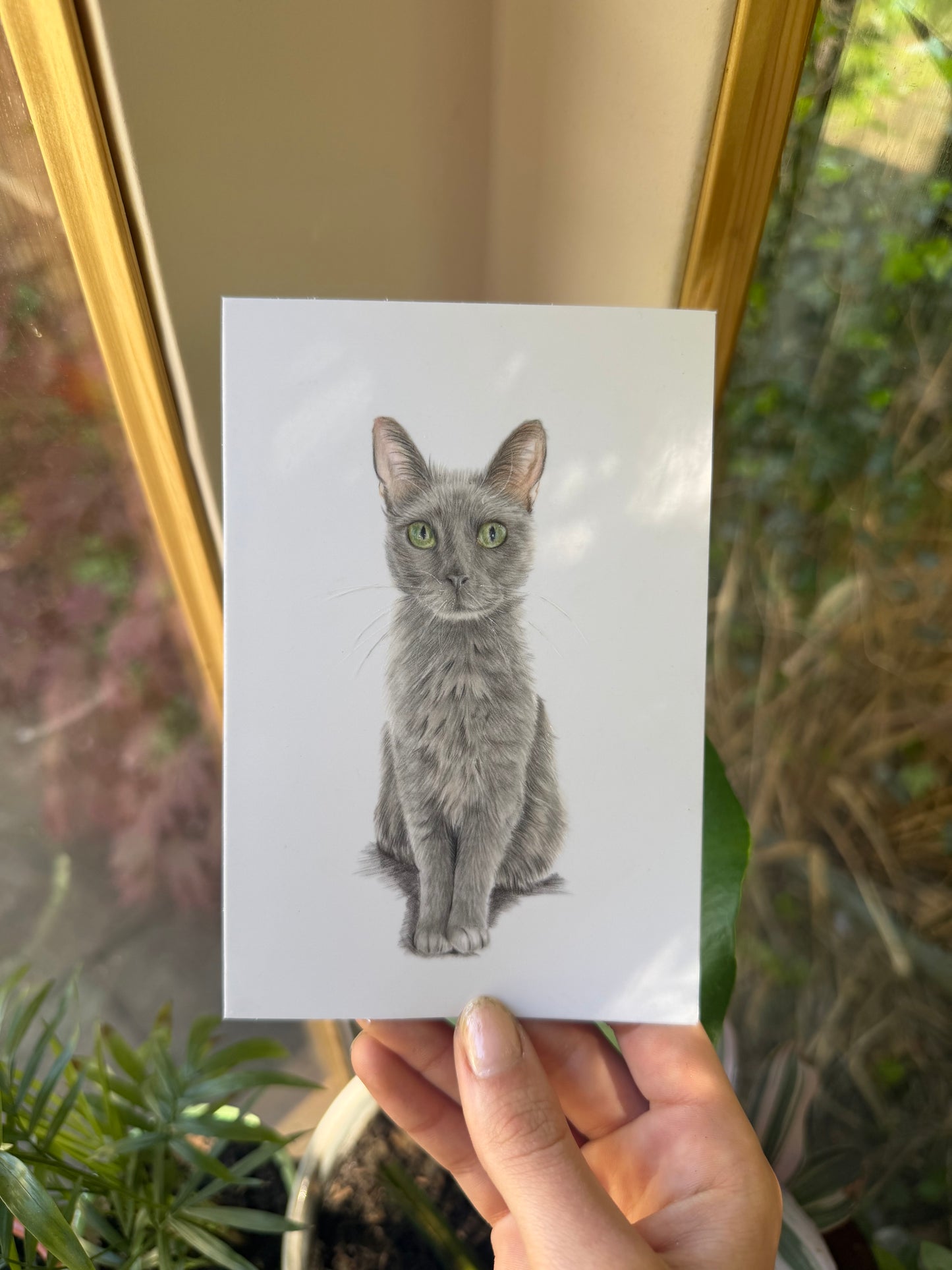 Mini Pet Portraits - available through the waitlist! Join via the homepage 🩷