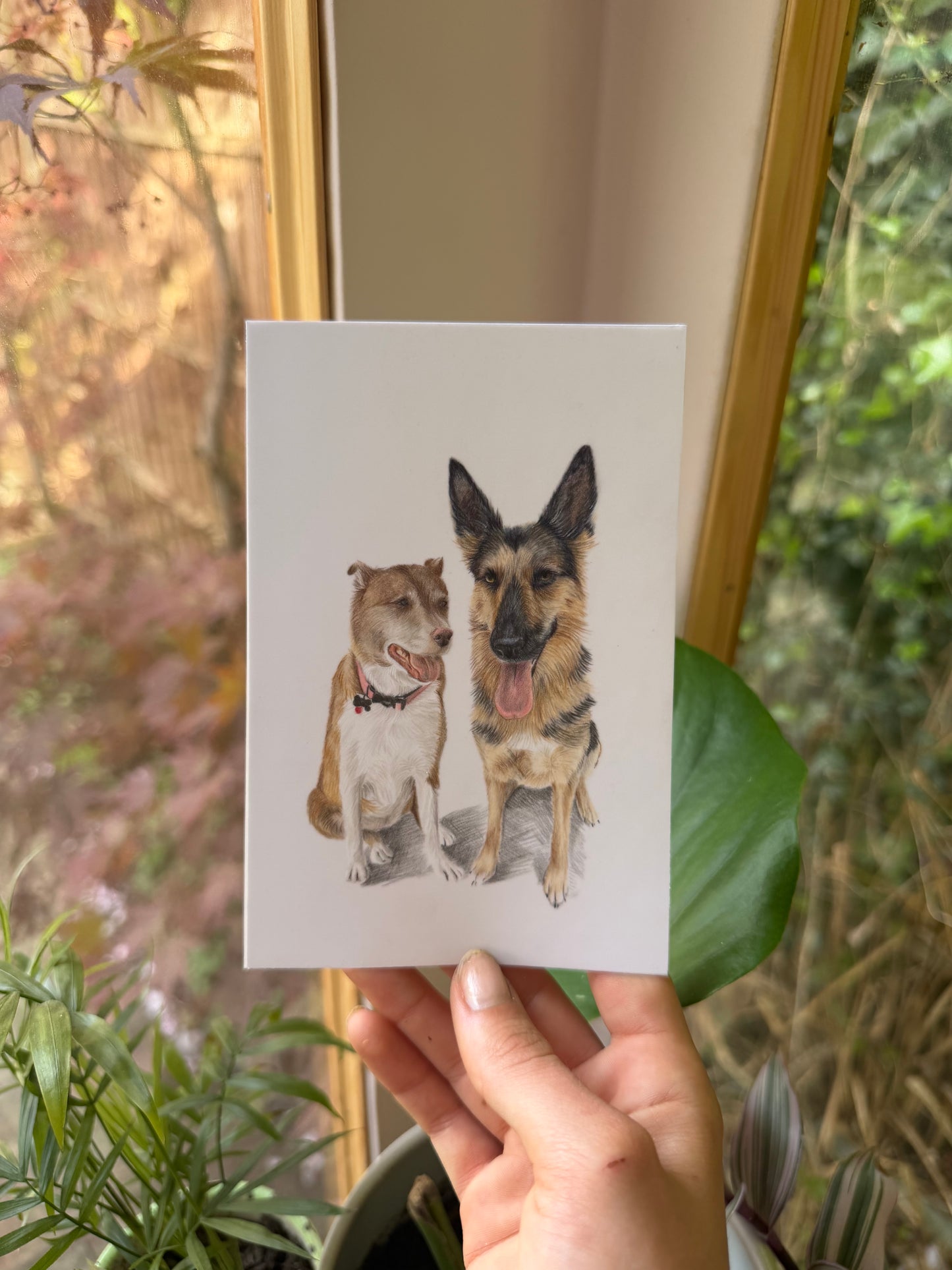 Mini Pet Portraits - available through the waitlist! Join via the homepage 🩷