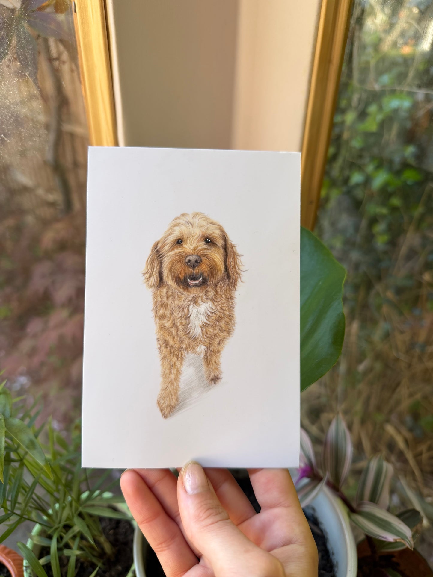 Mini Pet Portraits - available through the waitlist! Join via the homepage 🩷