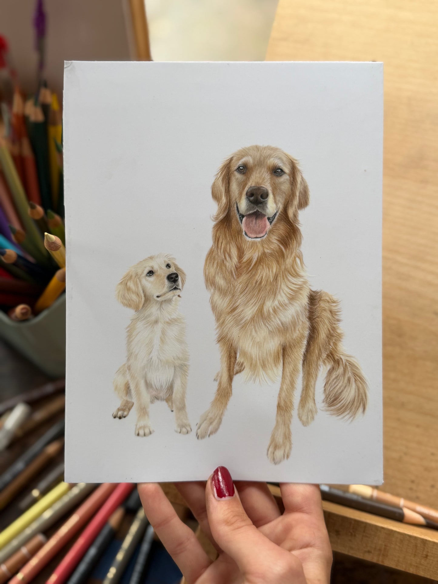 'All Grown-up' Celebrate your pets life in pencil