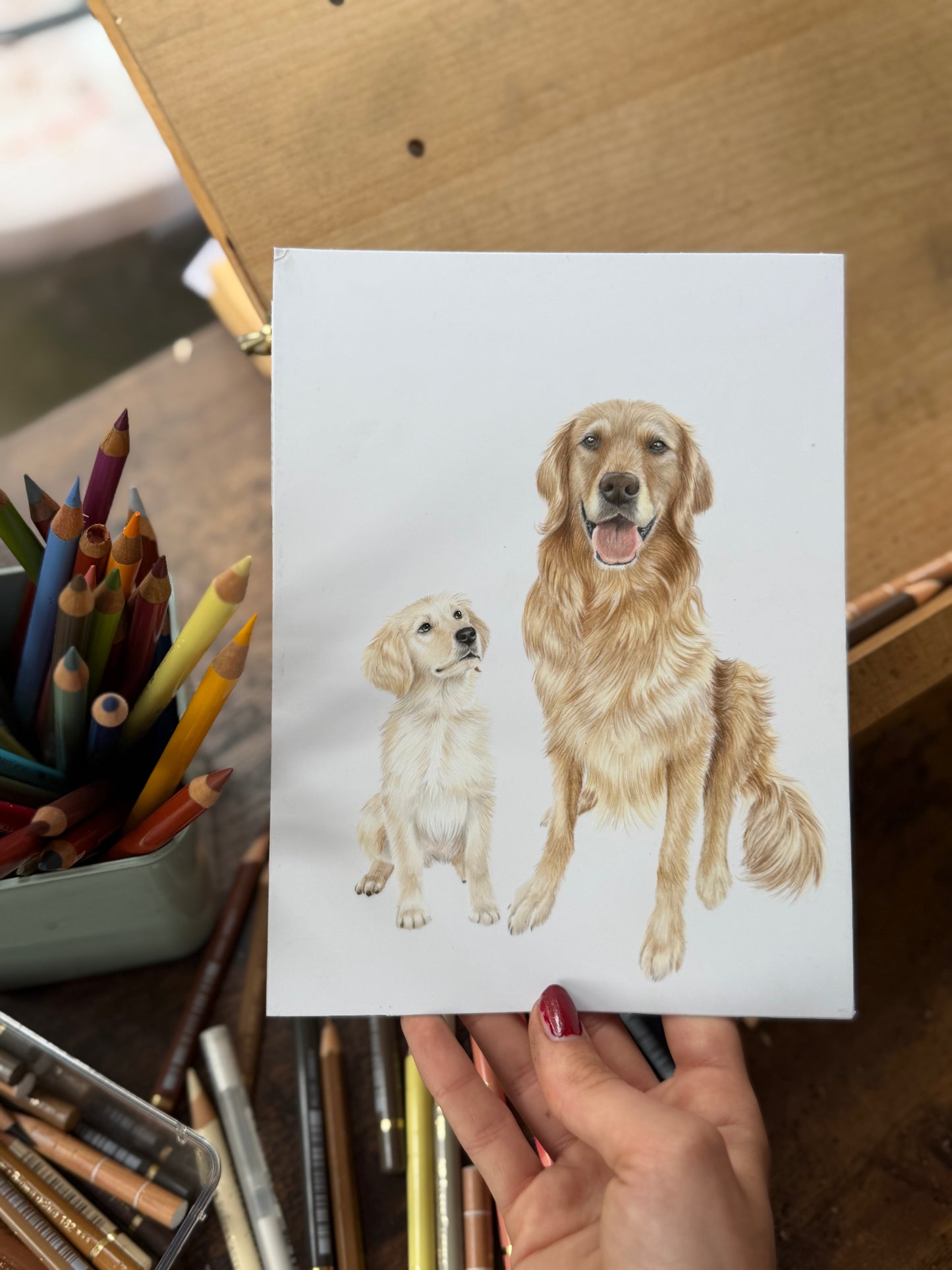 'All Grown-up' Celebrate your pets life in pencil
