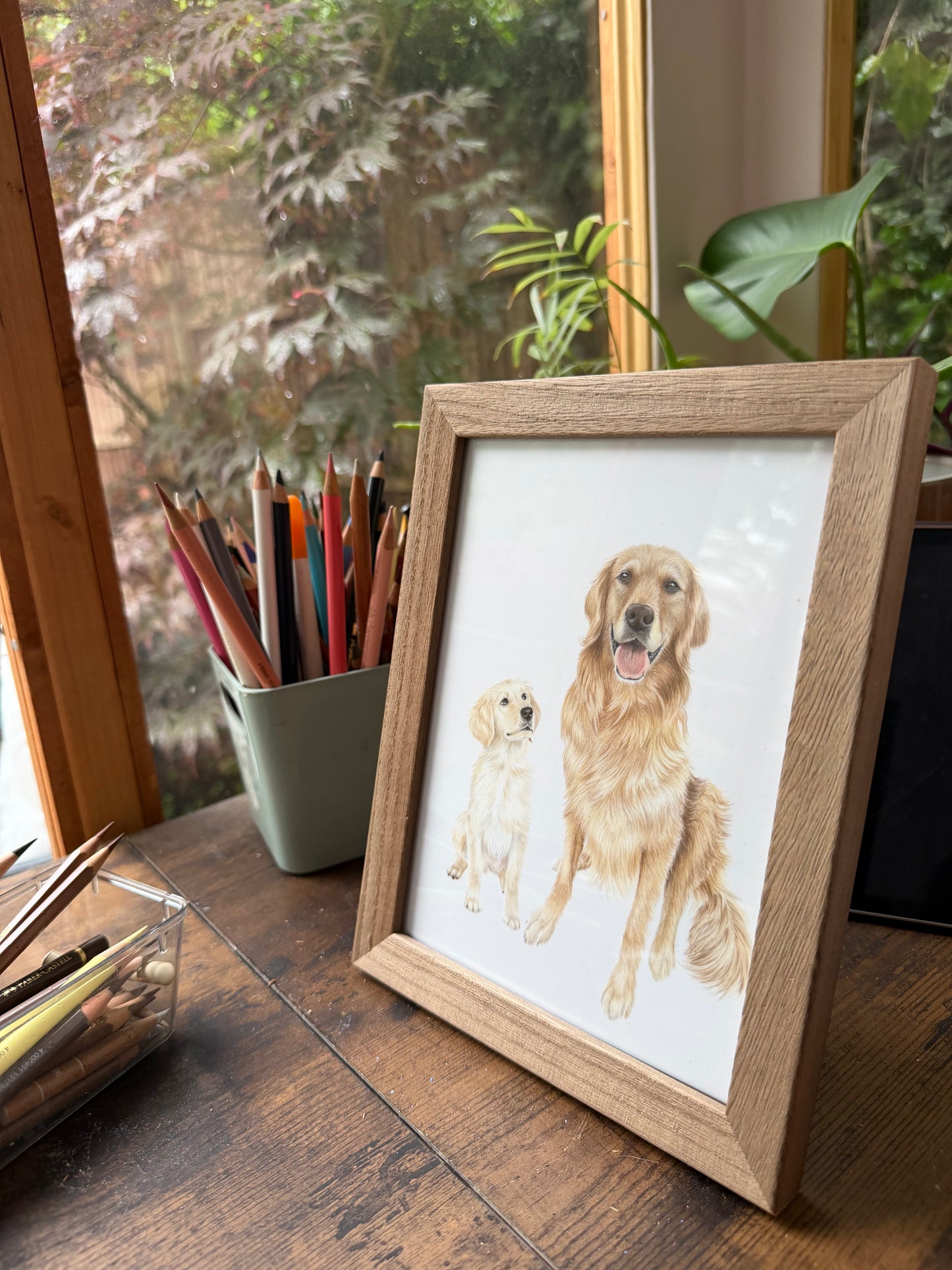 'All Grown-up' Celebrate your pets life in pencil