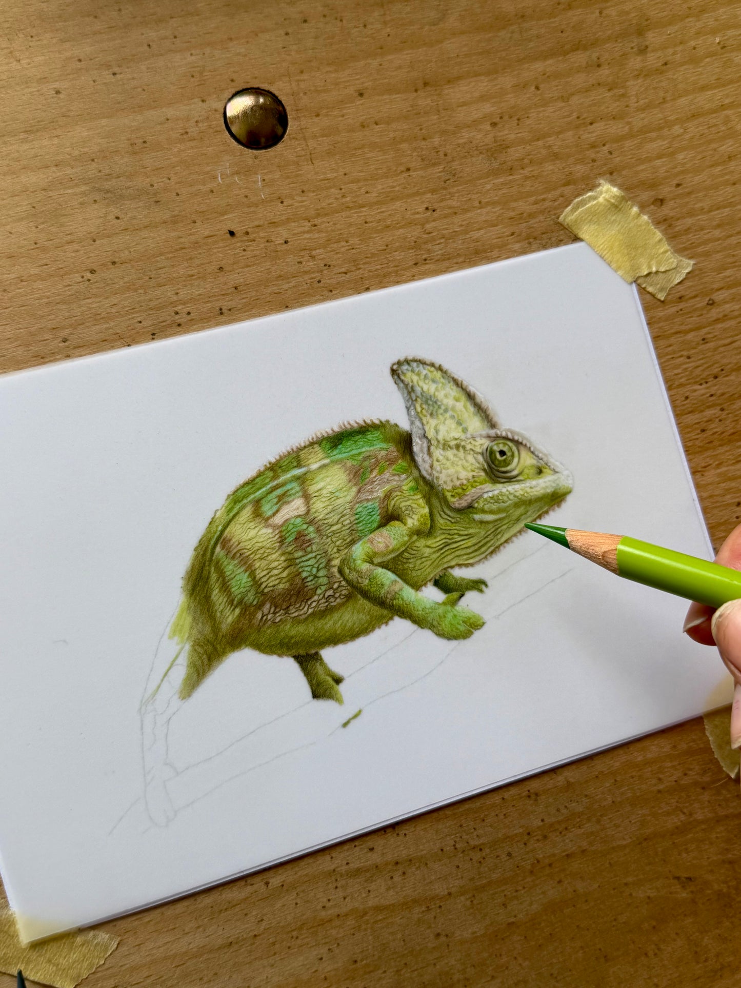 Mini Pet Portraits - available through the waitlist! Join via the homepage 🩷