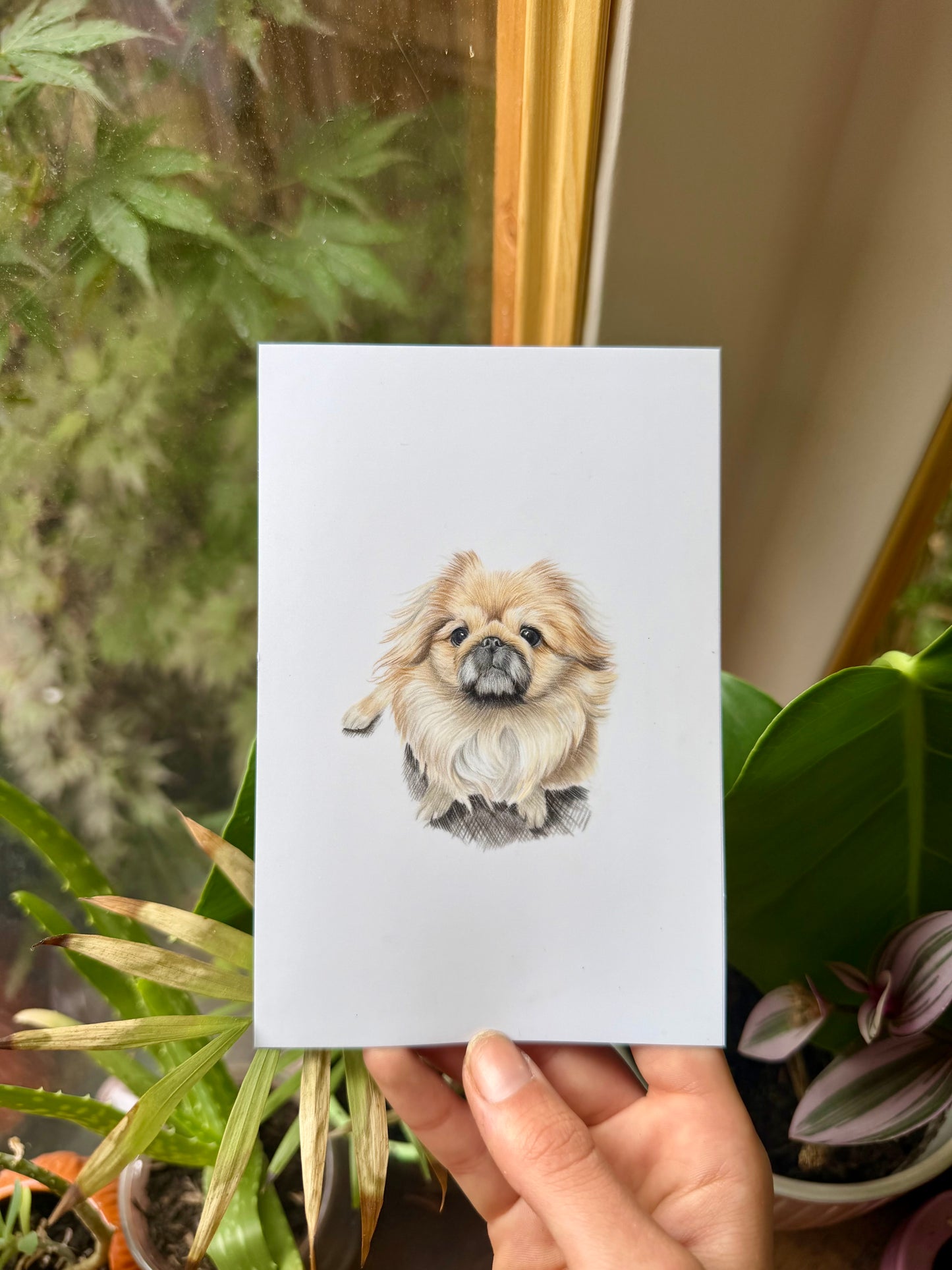 Mini Pet Portraits - available through the waitlist! Join via the homepage 🩷