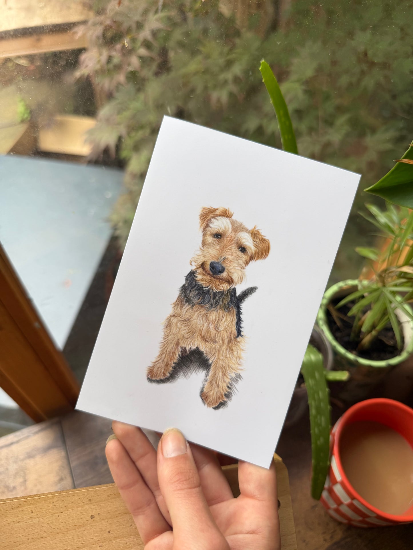 Mini Pet Portraits - available through the waitlist! Join via the homepage 🩷