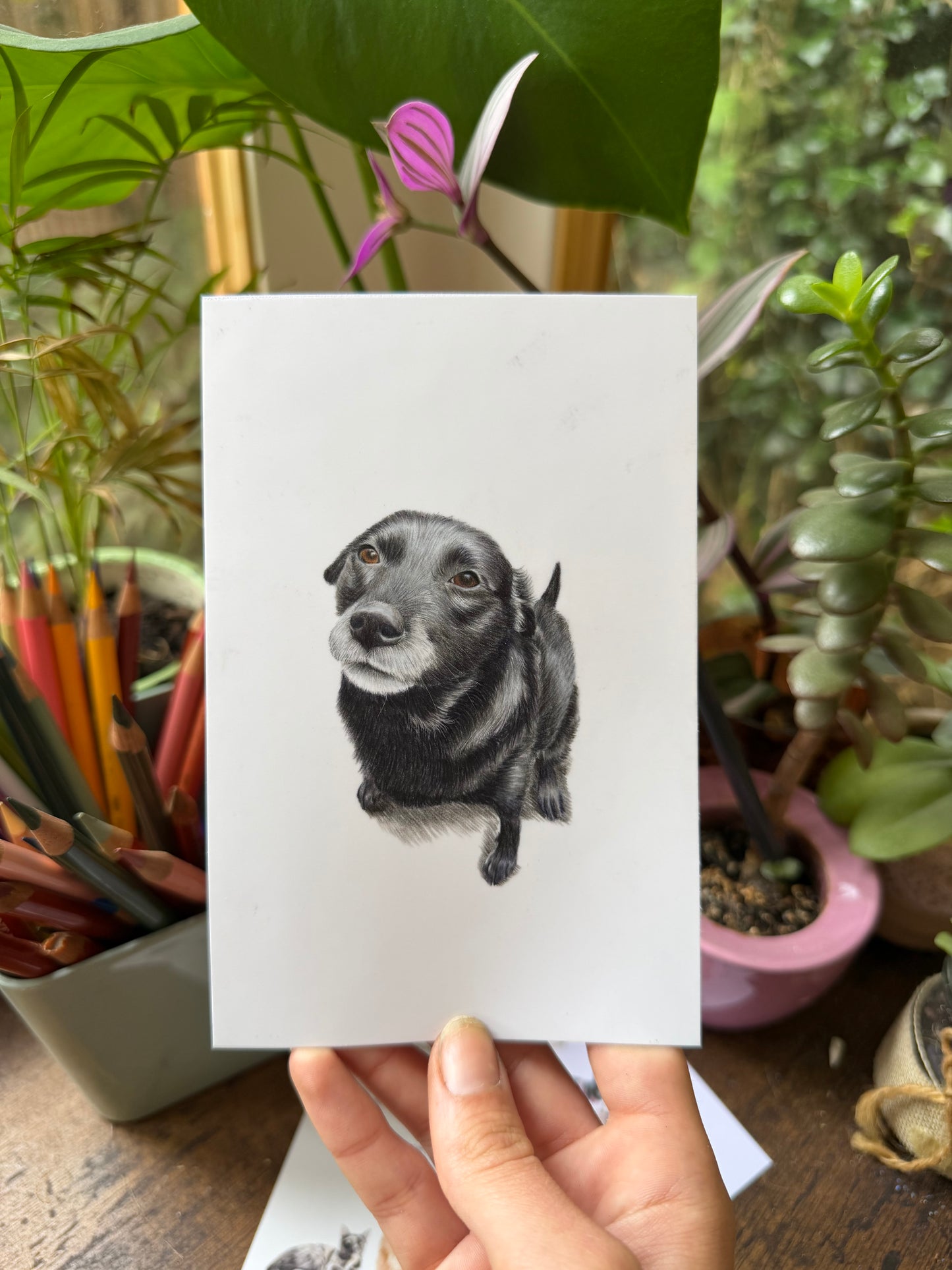 Mini Pet Portraits - available through the waitlist! Join via the homepage 🩷