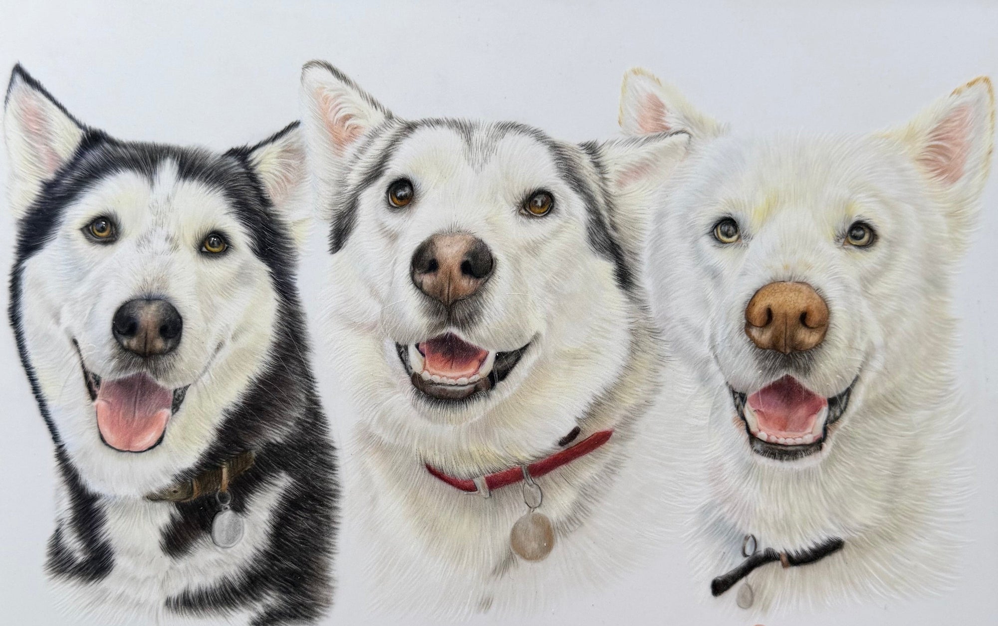 A hand holding a pencil over a hand drawn drawing of three dog portraits on a wooden easel.