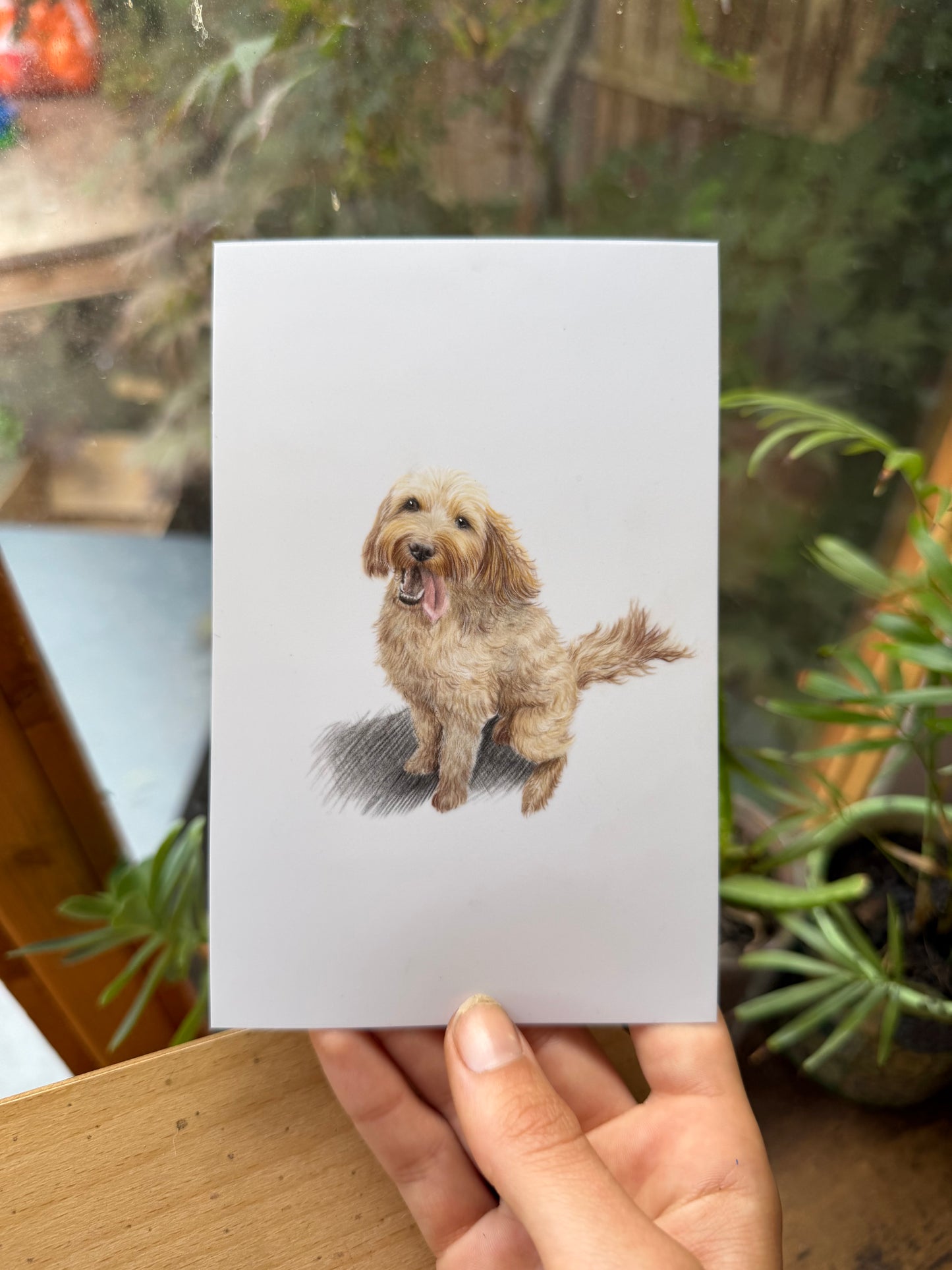 Mini Pet Portraits - available through the waitlist! Join via the homepage 🩷