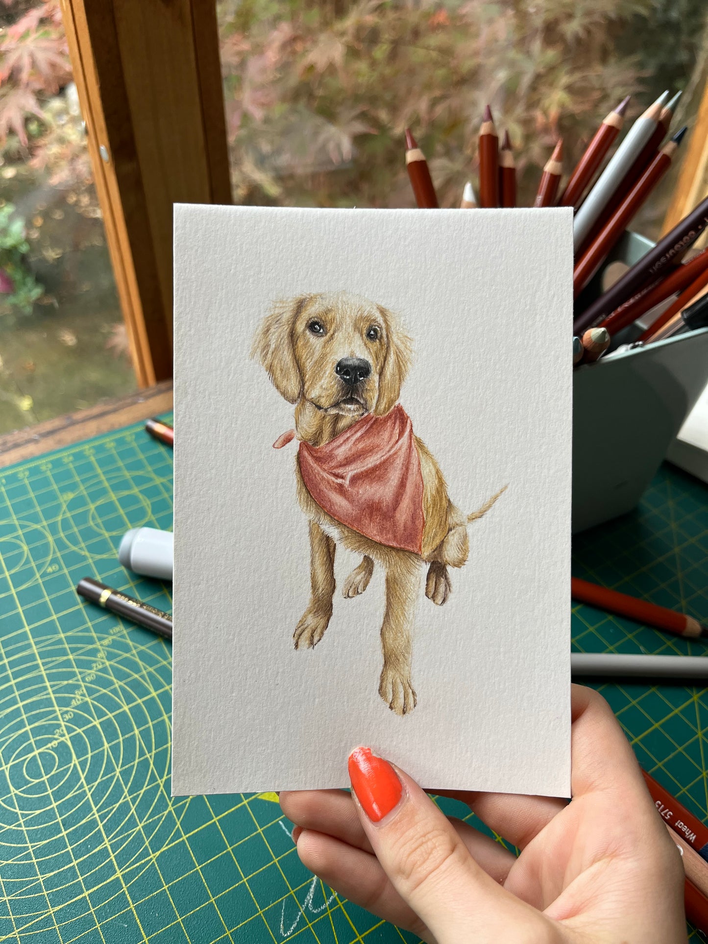 Mini Pet Portraits - available through the waitlist! Join via the homepage 🩷