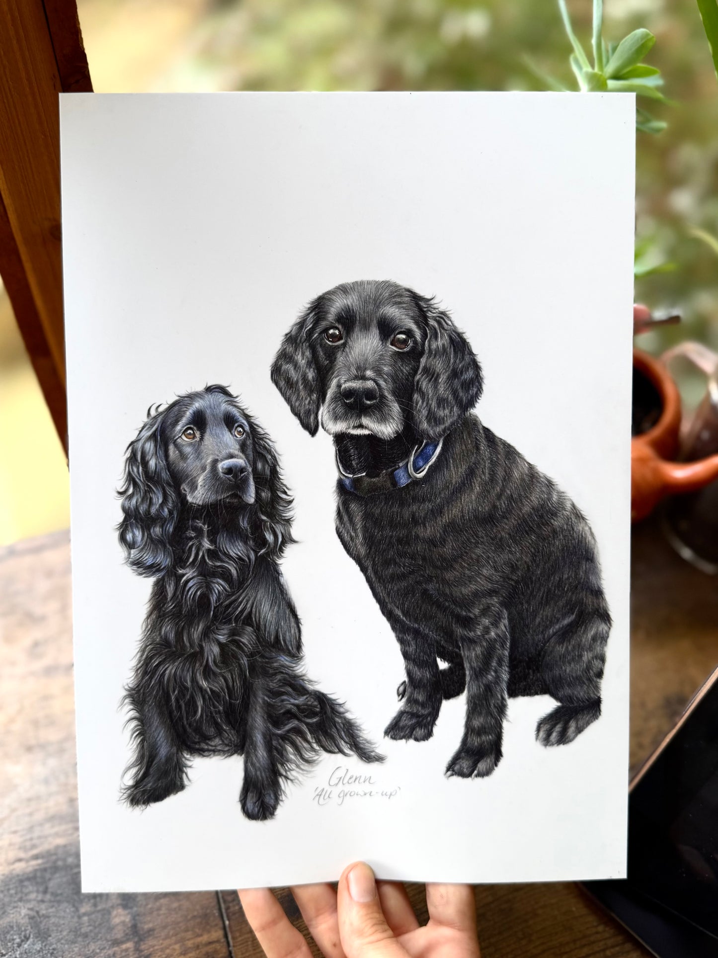 'All Grown-up' Celebrate your pets life in pencil