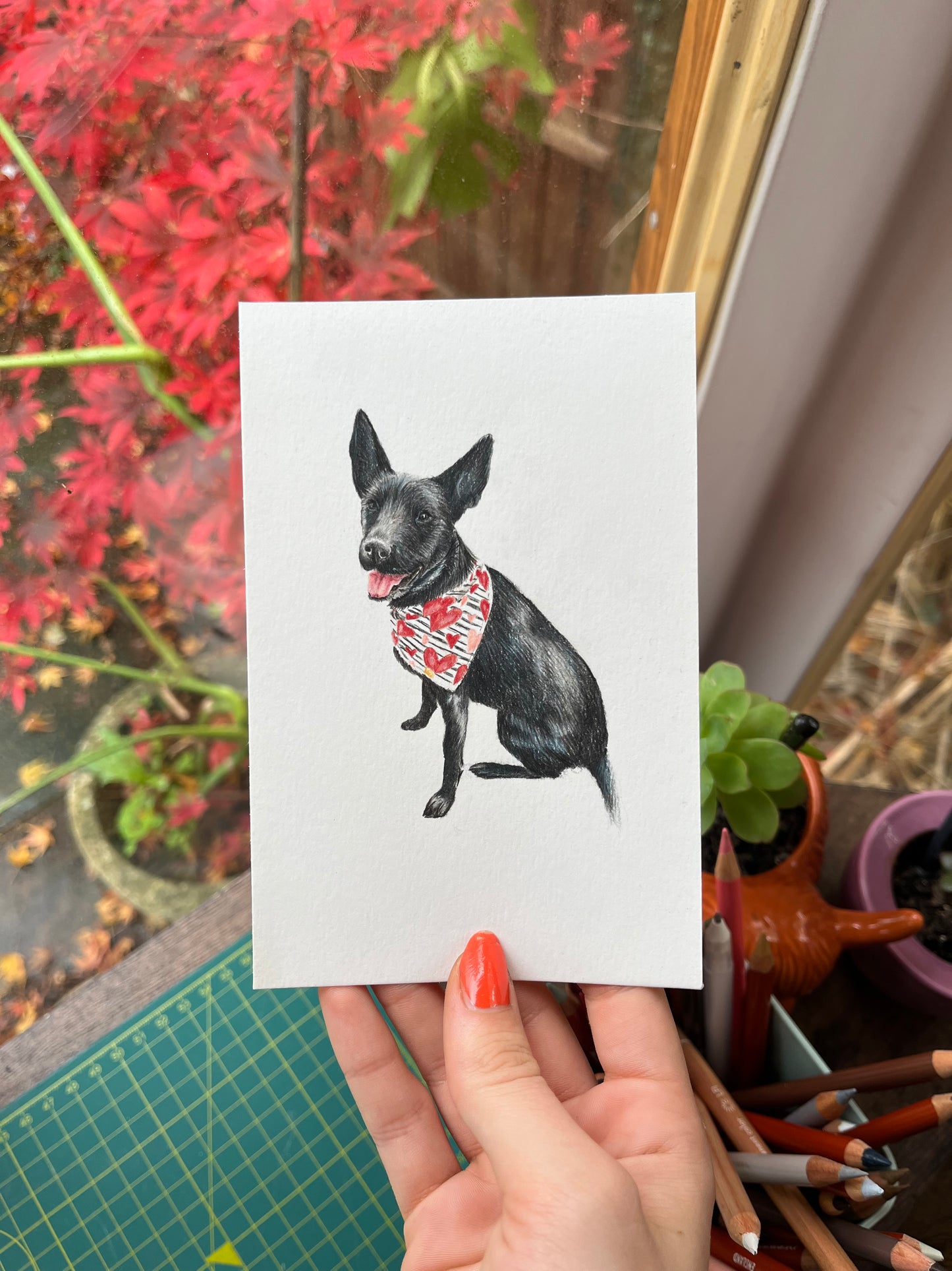 Mini Pet Portraits - available through the waitlist! Join via the homepage 🩷