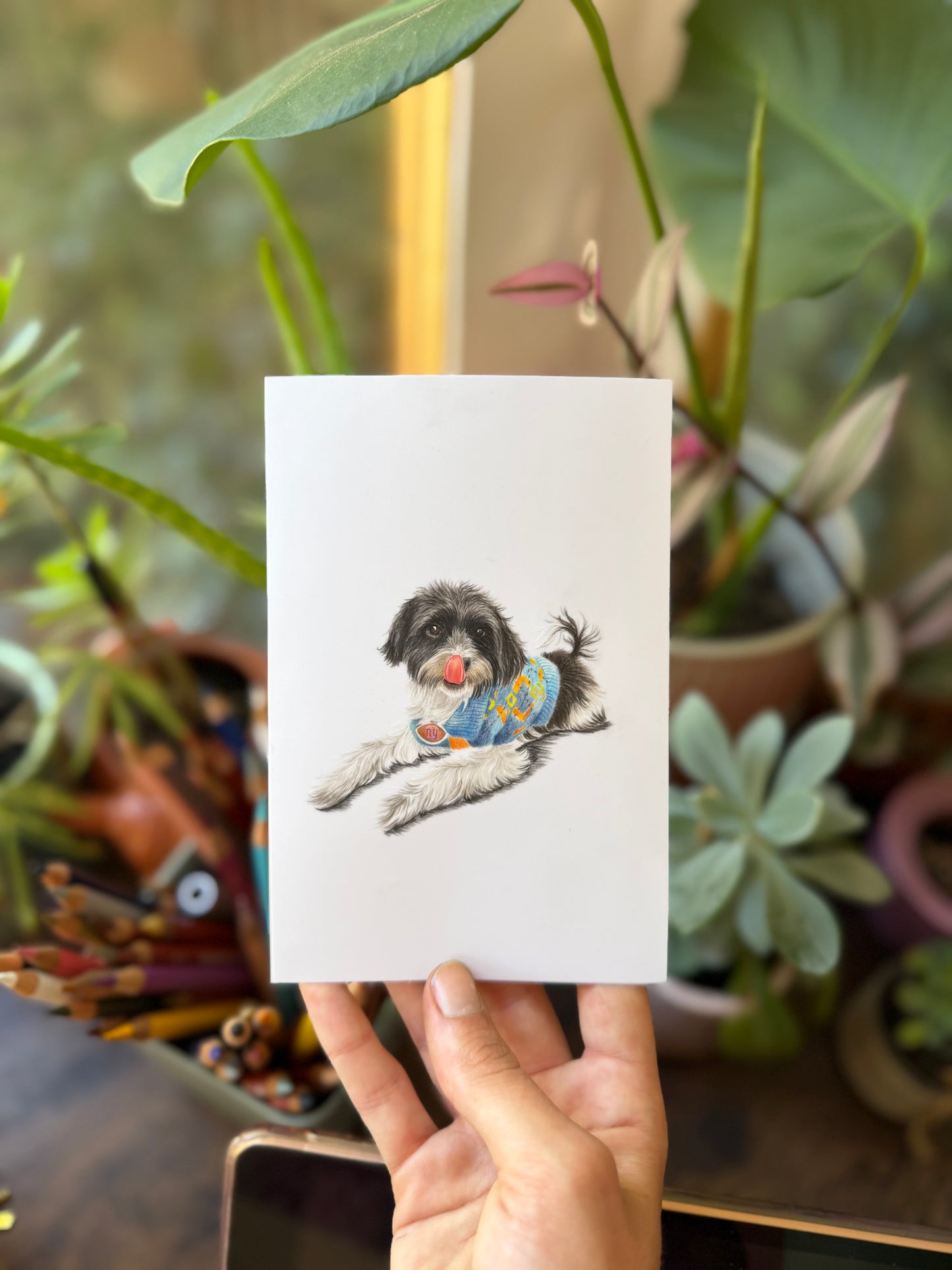 Mini Pet Portraits - Available via a waitlist, join on the homepage! Next opening is in September!