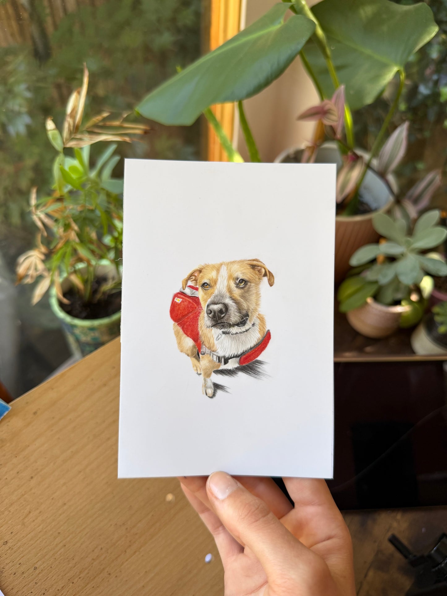 Mini Pet Portraits - Available via a waitlist, join on the homepage! Next opening is in September!