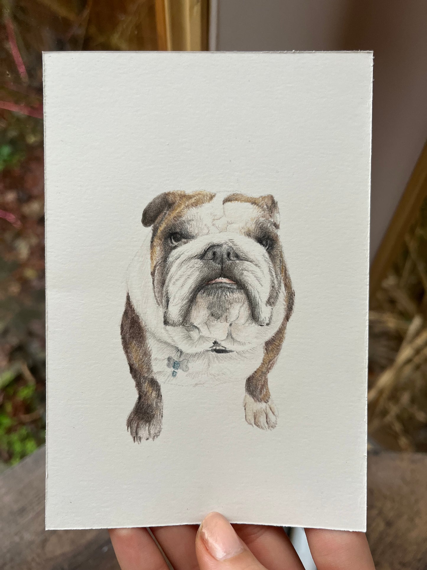 Mini Pet Portraits - available through the waitlist! Join via the homepage 🩷