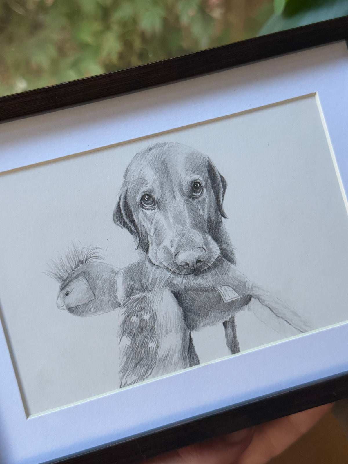 Custom Graphite Pet Portrait | Hand-Drawn Pencil Drawing