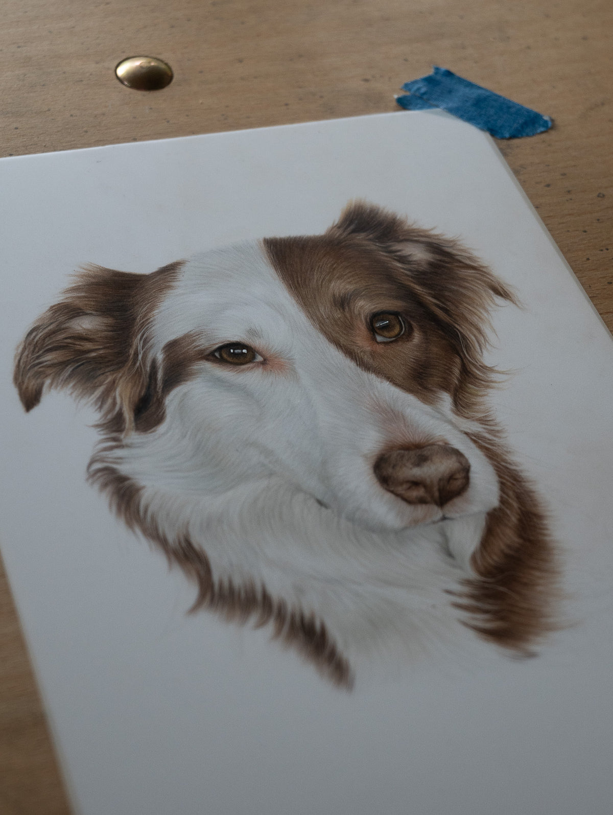 Custom Coloured Pet Portrait | Hand-Drawn Pencil Drawing - 🤎Orders will reopen in November 2026🤎Sign up to the waitlist to get notified when orders reopen!