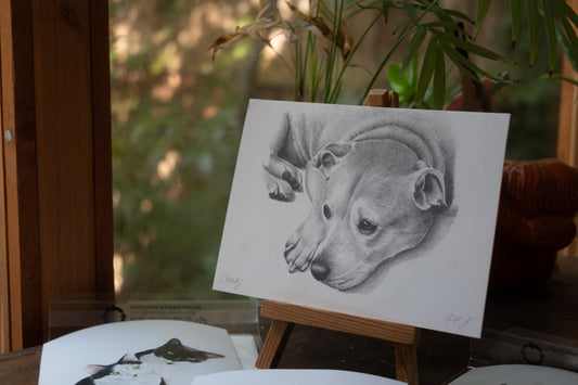 Custom Graphite Pet Portrait | Hand-Drawn Pencil Drawing